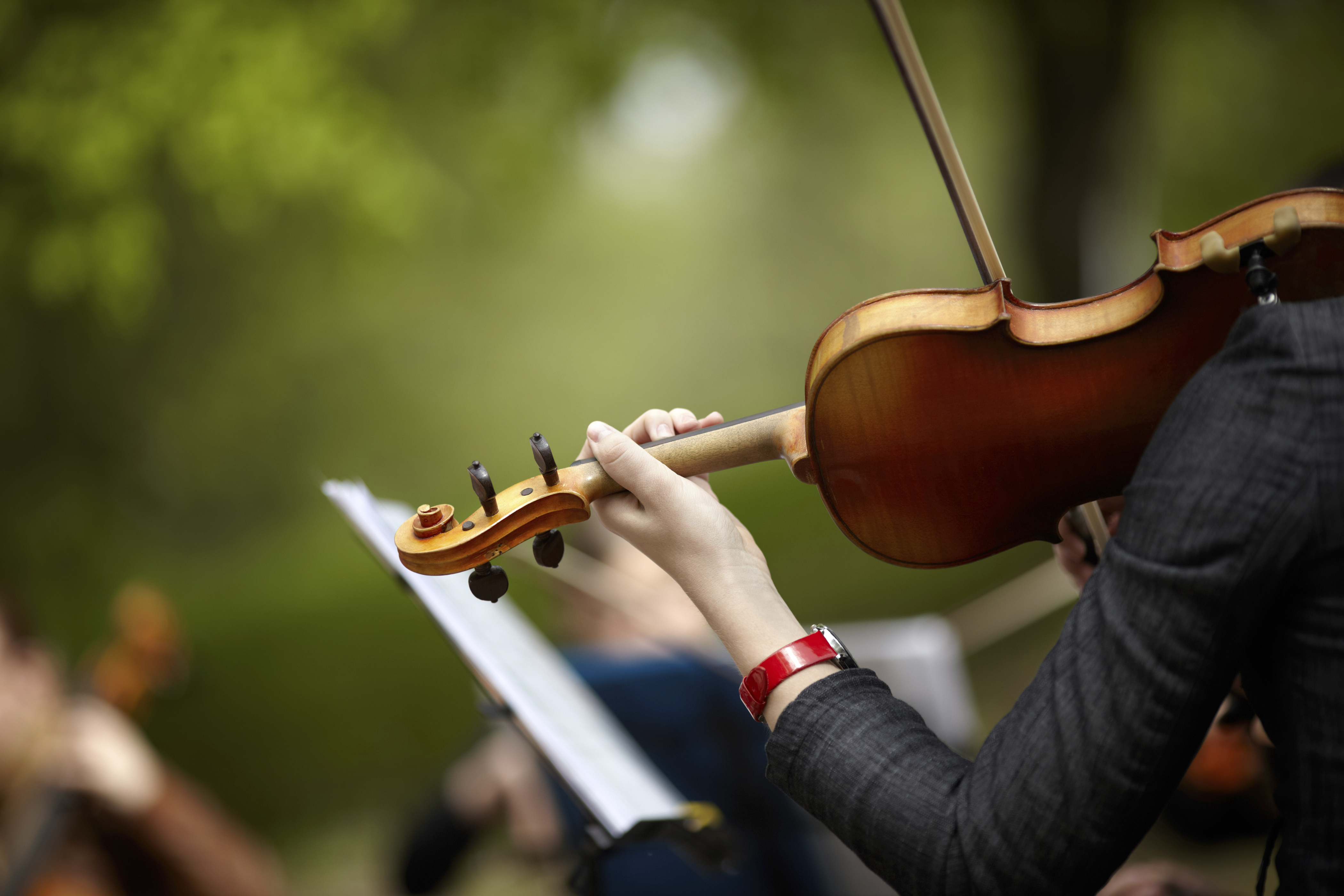 Violinist