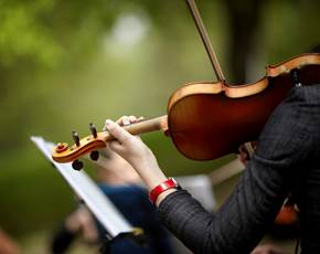 Violinist